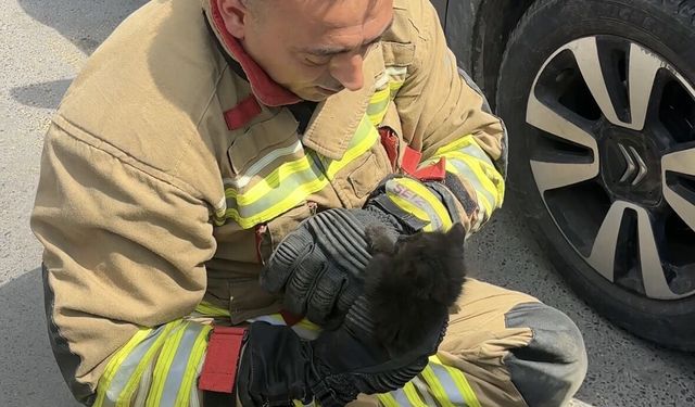 Düzce'de aracın motor bölümüne giren kedi yavrusu kurtarıldı