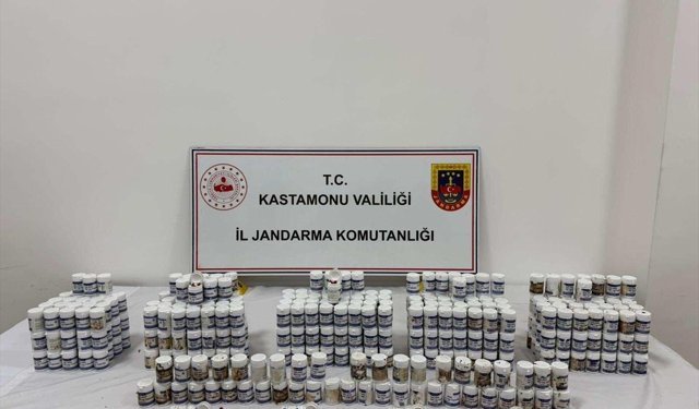 Kastamonu merkezli uyuşturucu operasyonlarında yakalanan 16 kişi tutuklandı