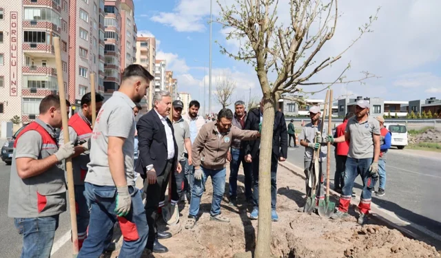 Kayseri Melikgazi'den yemyeşil atılım