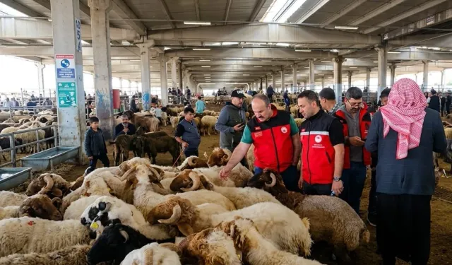 Kurban denetimleri 81 ilde sıkılaştırıldı