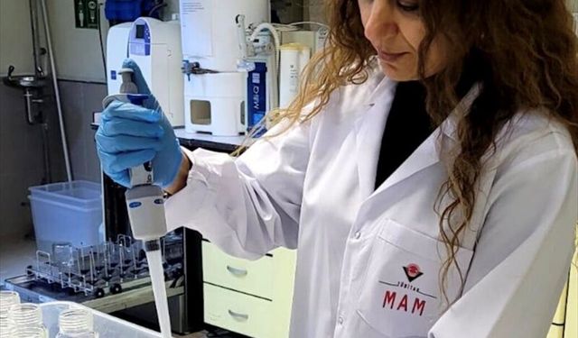 Plastikler denizde kimyasal taşıyan mobil kirleticilere dönüşüyor