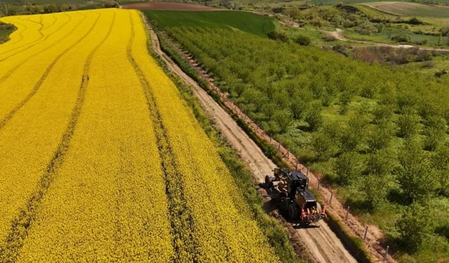 Tarla yolları hasada hazırlanıyor