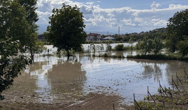 Tokat'ın Erbaa ilçesinde taşkın nedeniyle tarım alanlarını su bastı