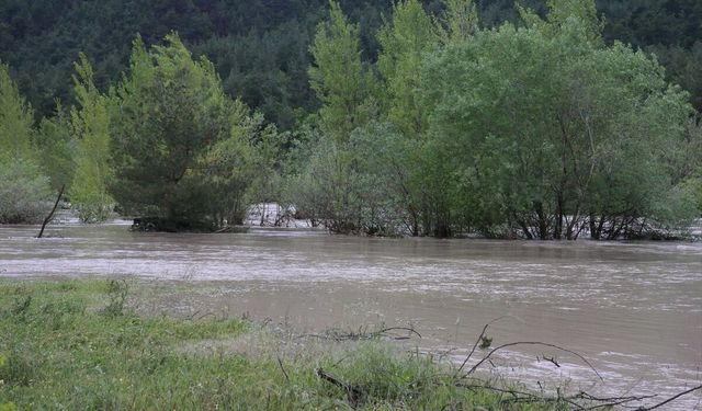 Tokat'ta Kelkit Çayı'nın taşması sonucu bazı ev ve arazileri su bastı