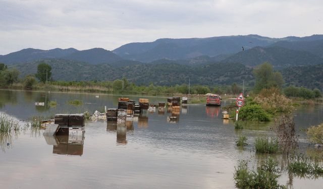 Tokat'ta Kelkit Çayı'nın taşması sonucu bazı evler, araziler ve köy yolu sular altında kaldı