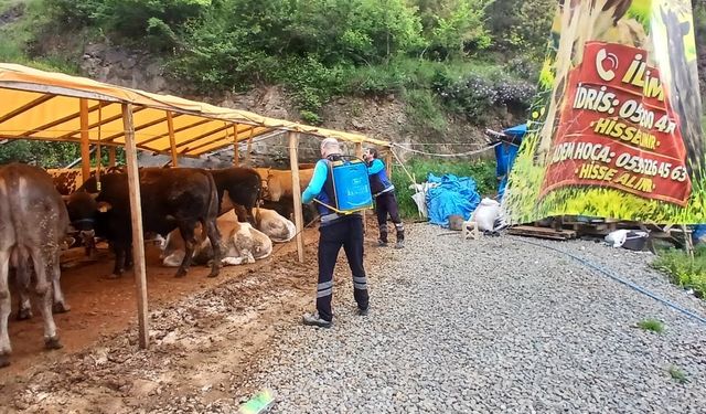 Trabzon'da kurban satış ve kesim alanları dezenfekte edildi