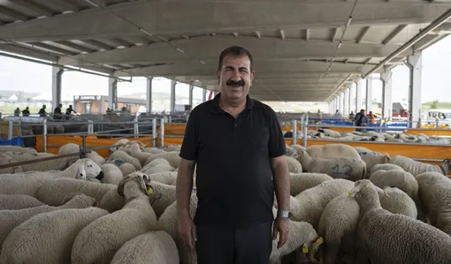 TÜRKYED'den kurbanlık uyarılar!