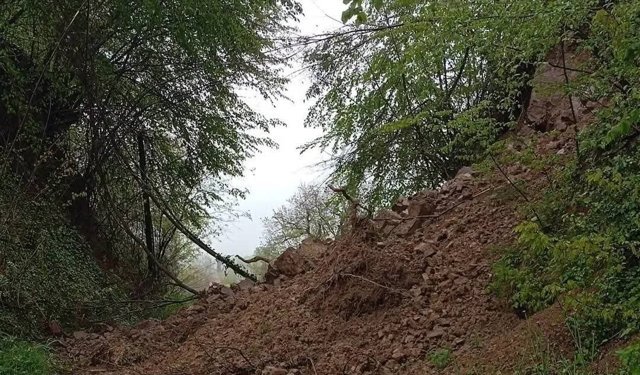 HEYELAN YOLU KAPATTI! MUHTARDAN UYARI GELDİ