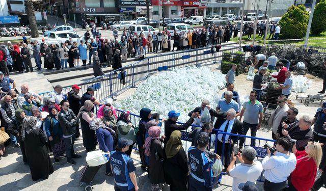 350 BİN ATA TOHUMU FİDESİ DAĞITILDI