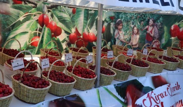 Amasya'da Kiraz Teşvik Yarışması yapıldı
