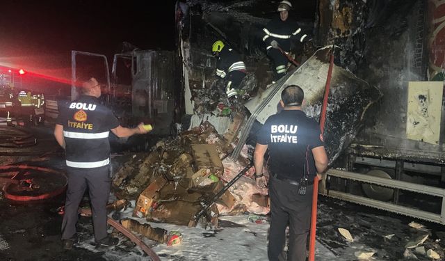 Anadolu Otoyolu'nda tavuk eti yüklü tırda çıkan yangın söndürüldü