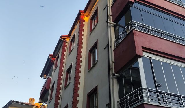 Çorum'da binanın çatısına sıkışan kırlangıç itfaiye ekiplerince kurtarıldı