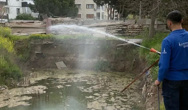 İzmir'de sivrisineğe karşı dev mücadele