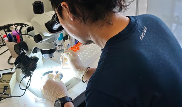 Japon bilim insanları kene araştırmaları için TOGÜ'de