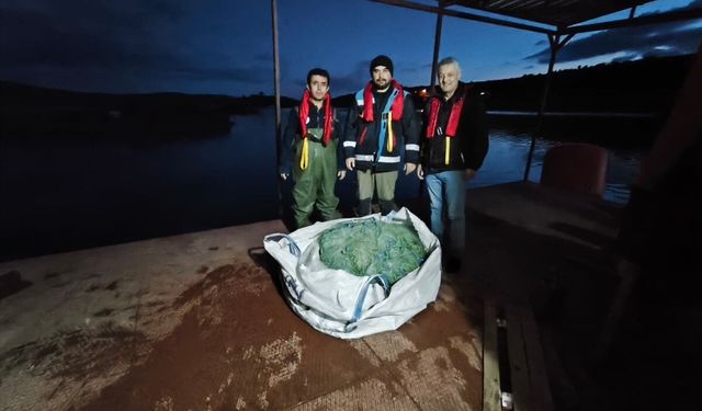 Kastamonu'da barajda kaçak avlanan sazanlar yeniden suya bırakıldı