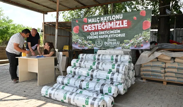 Manisa'da çilek üreticisine Büyükşehir'den destek