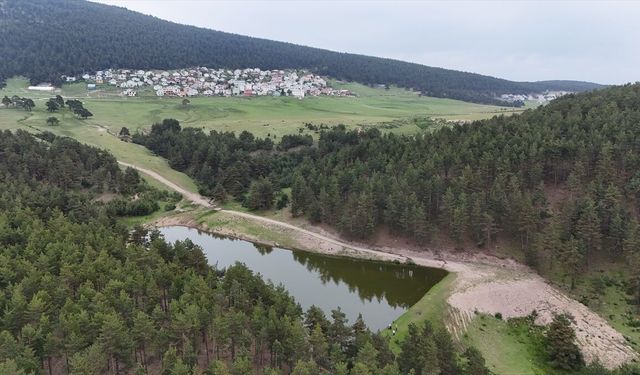 Ordu'nun 1200 rakımlı Keyfalan Yaylası ziyaretçilerini ağırlıyor