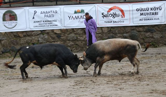 Rize'de '30. Çamlıhemşin Ayder Kültür, Sanat ve Doğa Festivali' başladı
