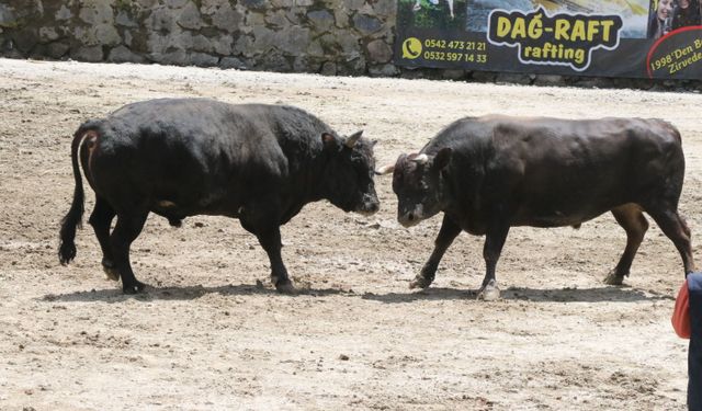 Rize'de '30. Çamlıhemşin Ayder Kültür, Sanat ve Doğa Festivali' sona erdi