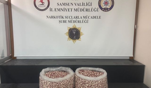 Samsun'da tırda 129 bin 500 sentetik ecza hapı ele geçirildi