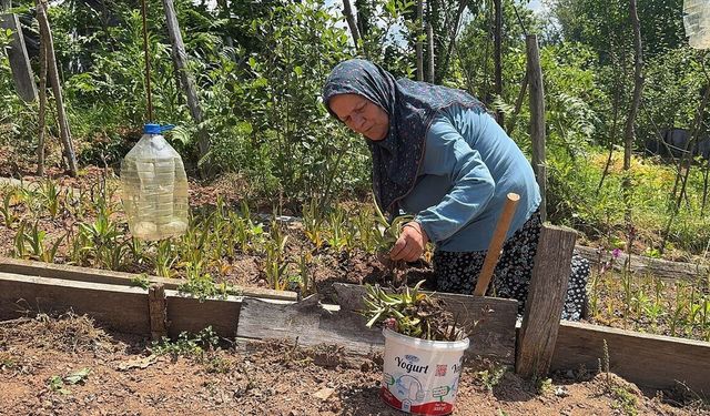 Sosyal medyada gördü, devlet desteğiyle salep orkidesi üretimine başladı