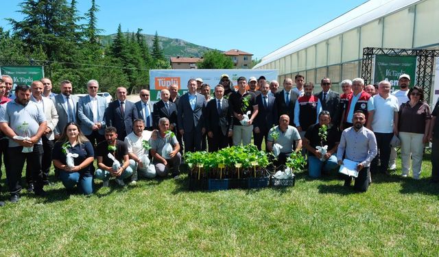 TOGÜ'de üretilen 2 bin tüplü aşılı asma fidanı üreticilere dağıtıldı