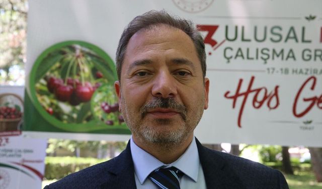 Ulusal Kiraz-Vişne Çalışma Grubu Tokat'ta toplandı