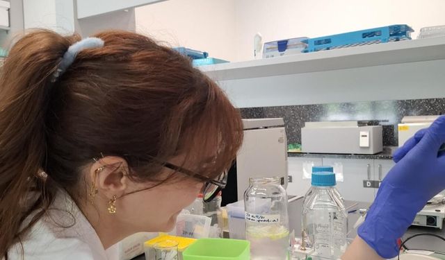 Avrupalı öğrenciler staj için KTÜ İLAFAR'ı tercih ediyor