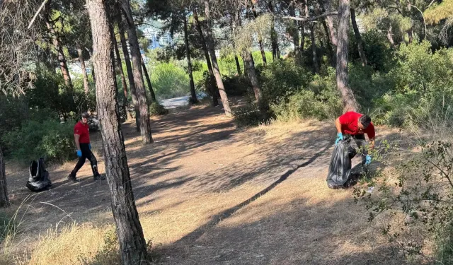 Güzelyalı Çamlıbel'de orman yangını riskine karşı temizlik çalışması