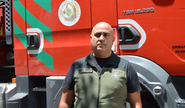Havza'da ormanlık alanlara girişler yasaklandı