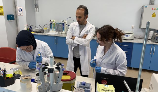 Karabük Üniversitesi'nde hücresel yaş analizi için yerli test kiti geliştiriliyor