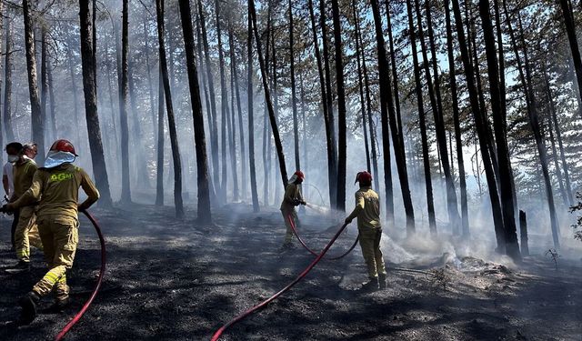 Kastamonu'da çıkan orman yangını söndürüldü