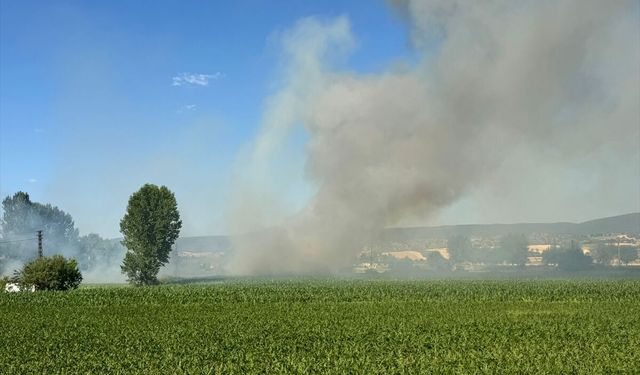 Kastamonu'da çıkan yangında 5 dekar buğday tarlası zarar gördü