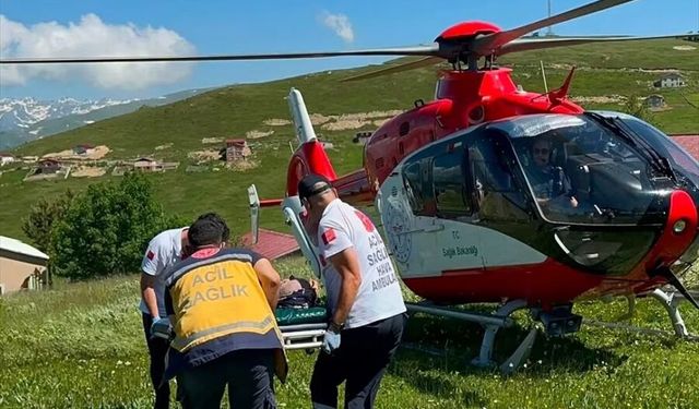 Trabzon'da yaylada mantardan zehirlenen kişi ambulans helikopterle hastaneye kaldırıldı