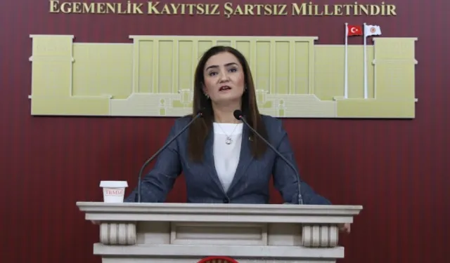 CHP Grup Başkanvekili Kılıç'tan 'silahsızlanma' vurgusu