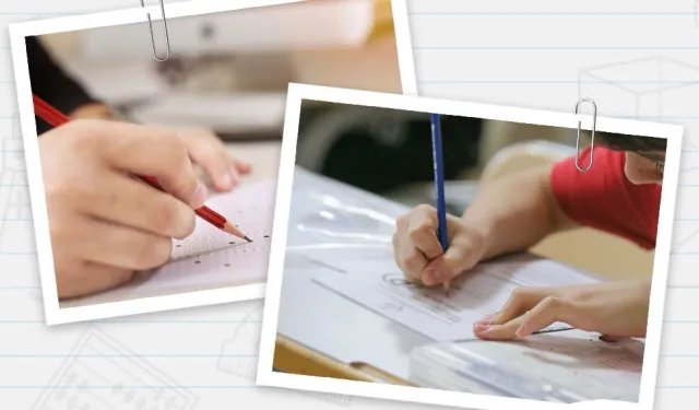LGS YERLEŞTİRME SONUÇLARI BELLİ OLDU