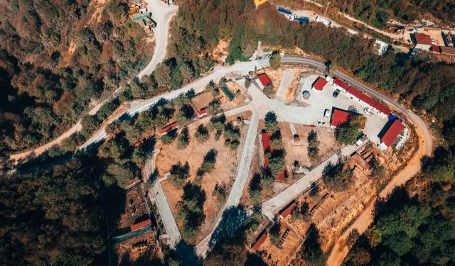 EREĞLİ'DE BİR KÖYDE 8 KAMYON KÖPEK TOPLANDI