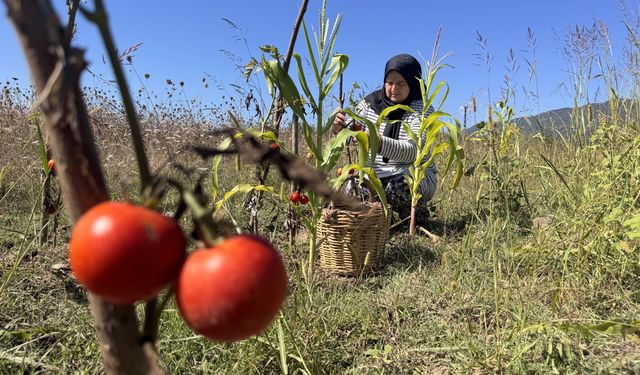 ÜRETİCİNİN EMEĞİ KATMA DEĞERE DÖNÜŞÜYOR