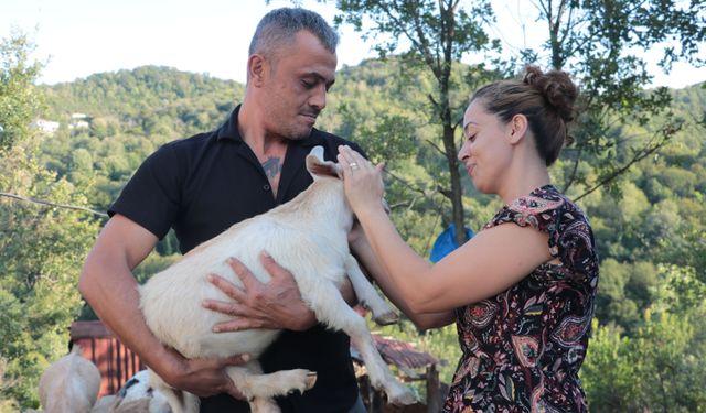 EMEKLİ OLDU, ATIL ARAZİYE ÇİFTLİK KURDU