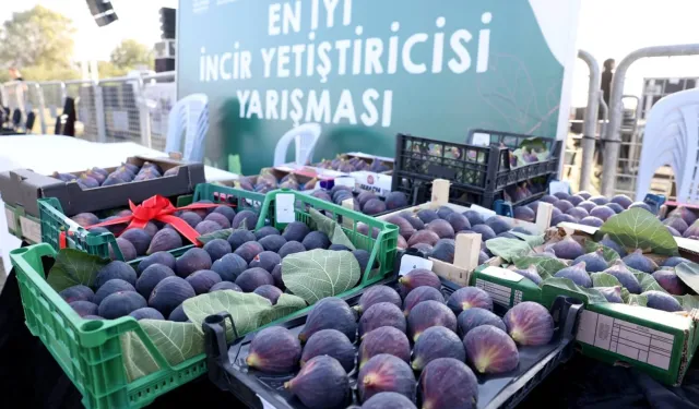 Bursa Nilüfer 12. Akçalar Fadıllı İncir Festivali'ne hazır