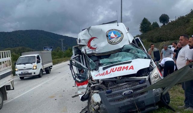 AMBULANS KAZA YAPTI, SÜRÜCÜ YARALI