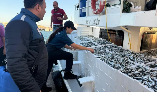 İzmir'de su ürünleri denetimleri aralıksız sürüyor