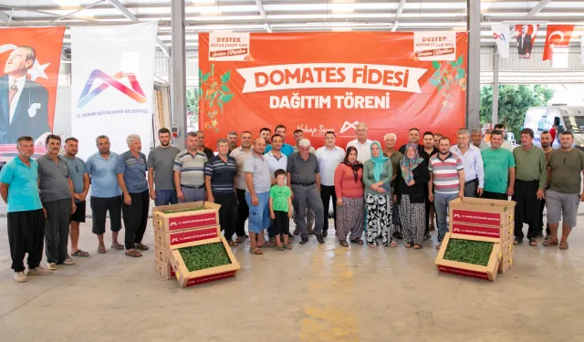 Mersin'de üreticiye domates fidesi desteği