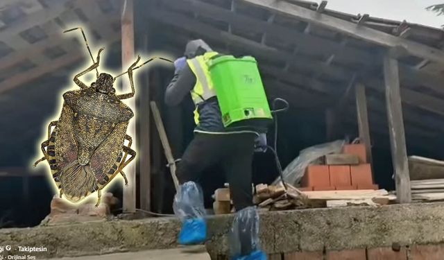 55 BİNİN ÜZERİNDE YAPI İLAÇLANDI!