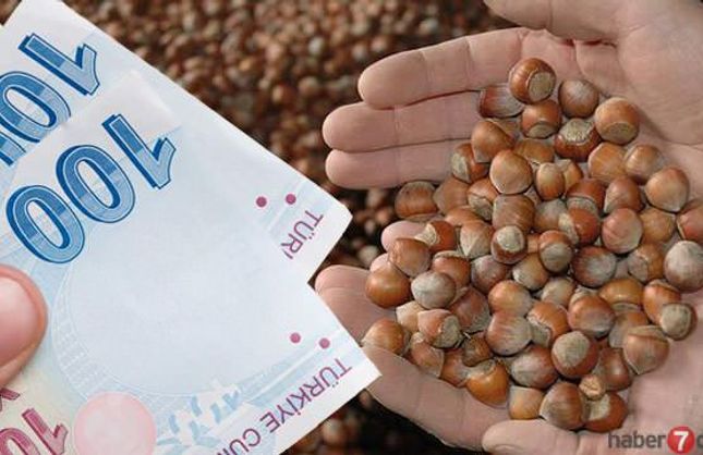 "FINDIK TABAN FİYATI 280 LİRA OLSUN"