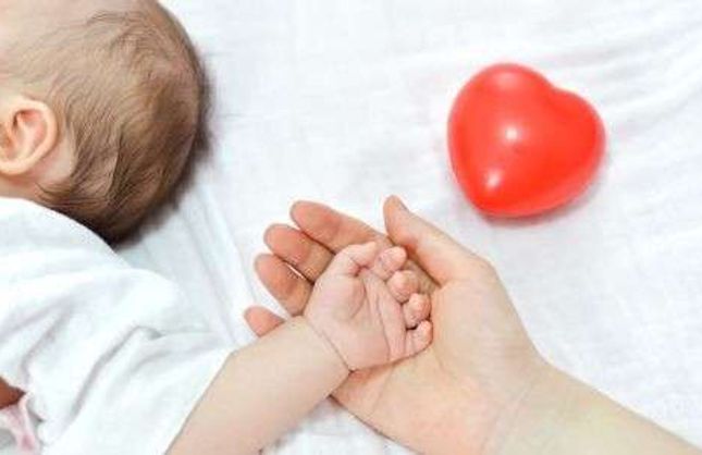 ÜCRETSİZ HALK MAMA PROJESİ