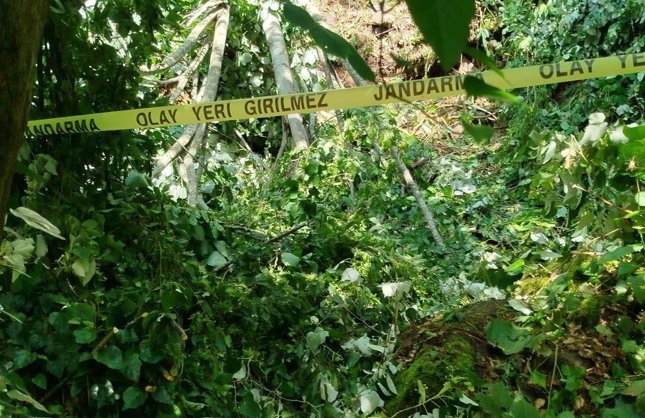 KESTİĞİ AĞAÇ ÇARPTI, HAYATINI KAYBETTİ