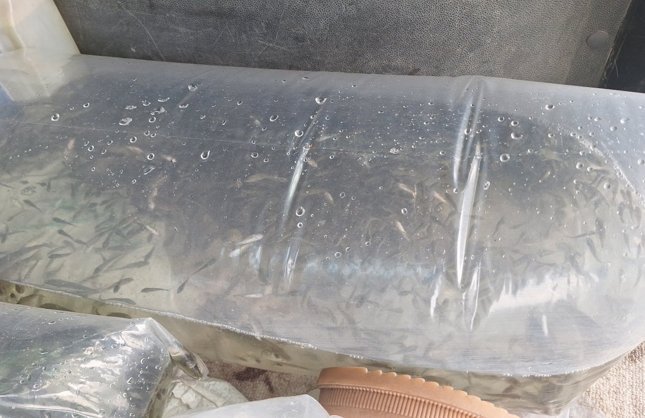 ÜREME DÖNEMİNE TAM KORUMA