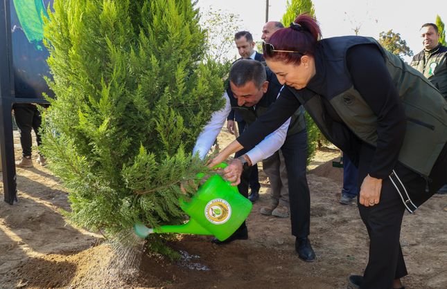 EŞ ZAMANLI FİDAN DİKİMİ