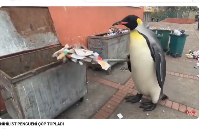 NİHİLİST PENGUENİ ÇÖP TOPLADI